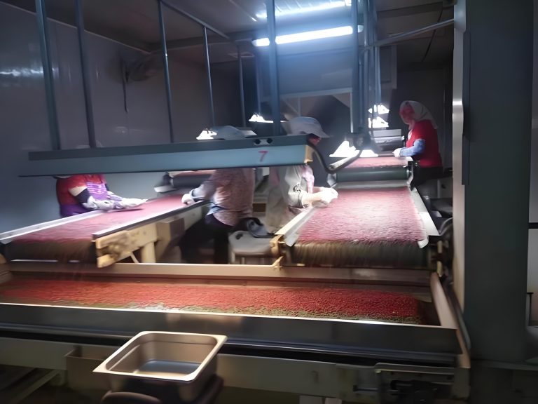 Producing synthetic ruby